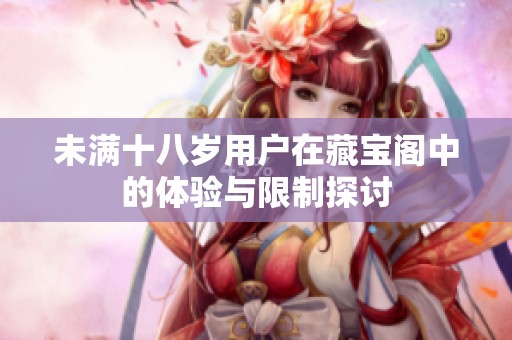 未满十八岁用户在藏宝阁中的体验与限制探讨