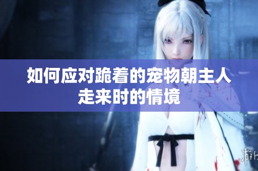 如何应对跪着的宠物朝主人走来时的情境