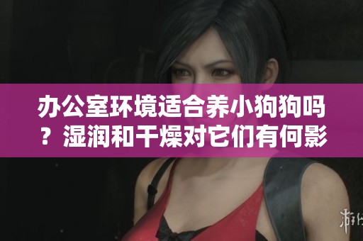 办公室环境适合养小狗狗吗？湿润和干燥对它们有何影响