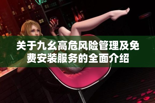 关于九幺高危风险管理及免费安装服务的全面介绍