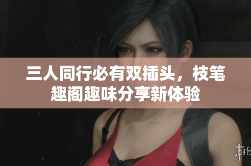 三人同行必有双插头，枝笔趣阁趣味分享新体验