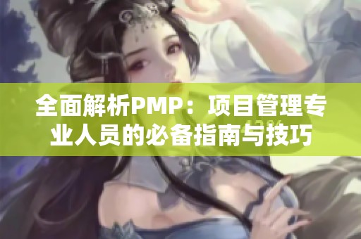 全面解析PMP：项目管理专业人员的必备指南与技巧