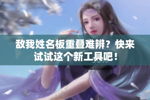 敌我姓名板重叠难辨？快来试试这个新工具吧！