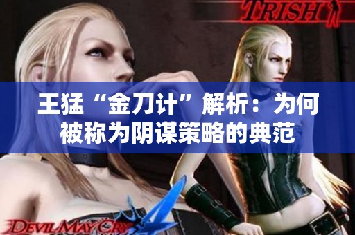 王猛“金刀计”解析：为何被称为阴谋策略的典范