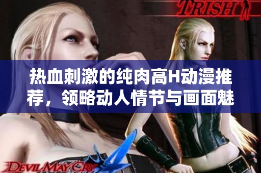 热血刺激的纯肉高H动漫推荐，领略动人情节与画面魅力